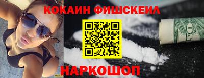гашик Моздок
