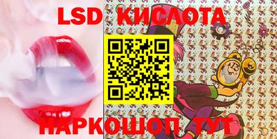 гашик Моздок