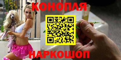 гашик Моздок