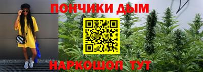гашик Моздок