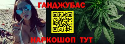 гашик Моздок