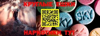 гашик Моздок