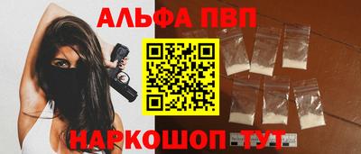 гашик Моздок
