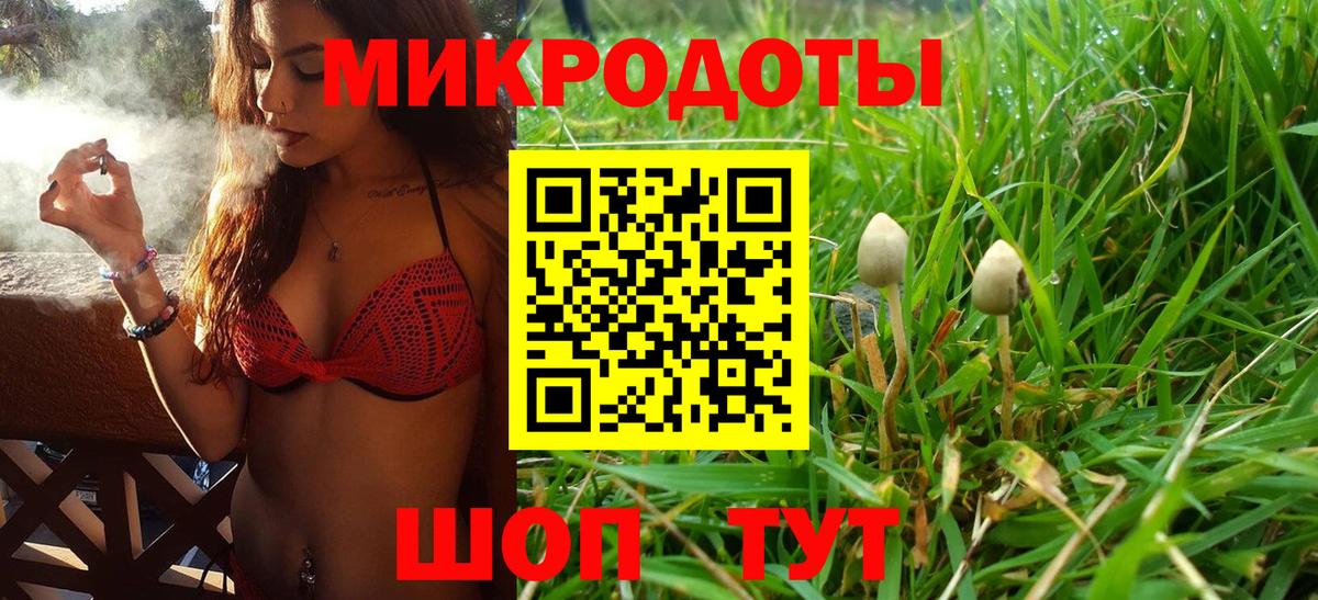 Галлюциногенные грибы MAGIC MUSHROOMS Горячий Ключ