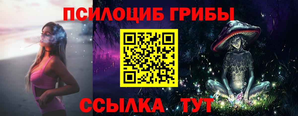 Горячий Ключ  Псилоцибиновые грибы Psilocybe  где продают   Вход с VPN 